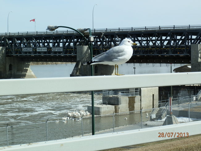 Lockport Dam, MB Morden, Manitoba Canada