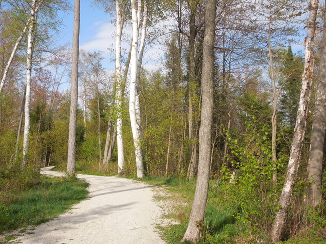 Walking Path Waba, Ontario Canada