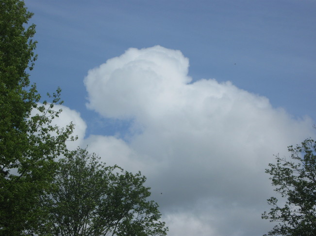 Pillsbury dough boy cloud?? Surrey, British Columbia Canada