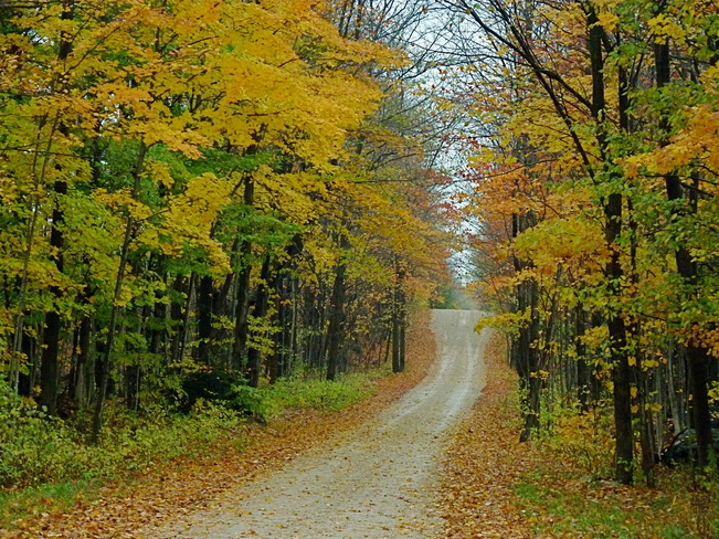 Side Road Autumn Chatsworth, Ontario Canada