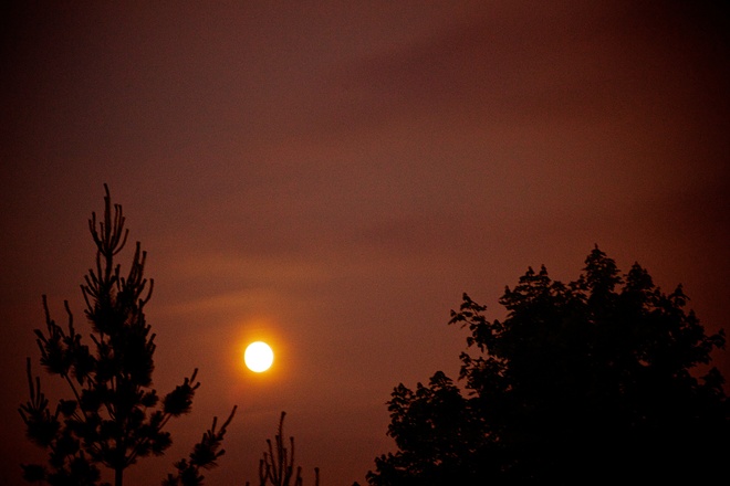 Golden Bright Moon Ashburn, Ontario Canada