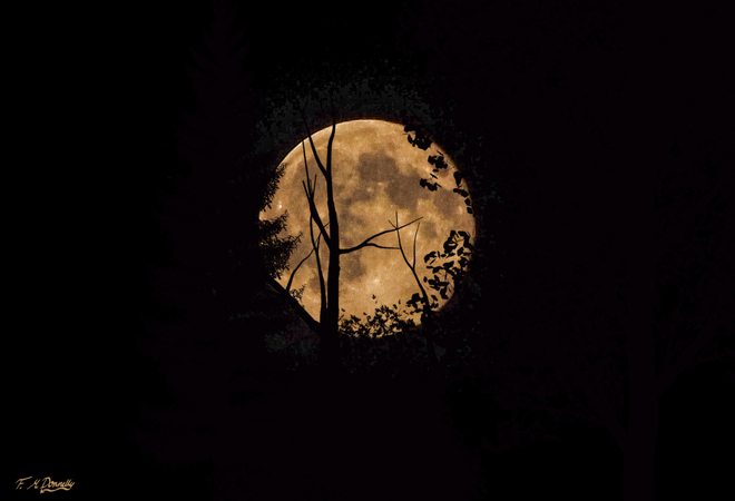 Super Moon Rise Smiths Falls, Ontario Canada