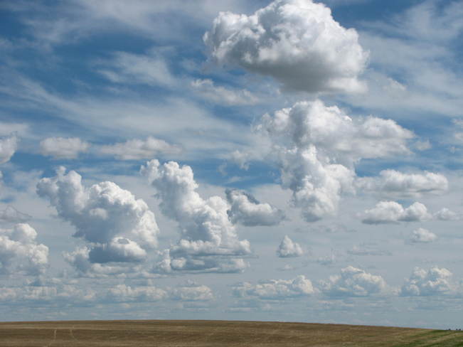 Cloud Critters Eston, Saskatchewan Canada