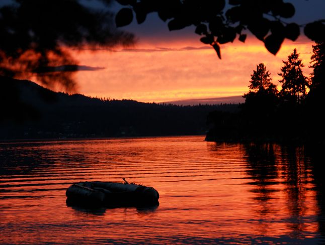 Sunset in Thomson Cove Victoria, British Columbia Canada