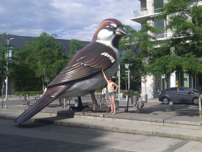 Big Bird - Literally Vancouver, British Columbia Canada