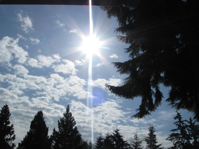 sun light Surrey, British Columbia Canada