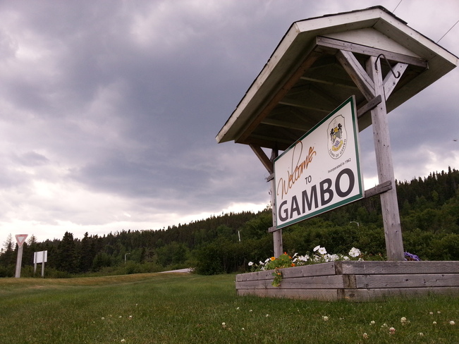 July 15 Gambo, Newfoundland and Labrador Canada