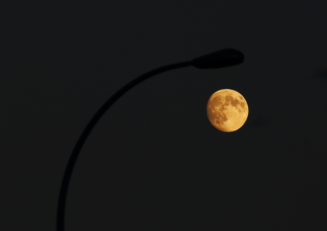 Light moon Calgary, Alberta Canada