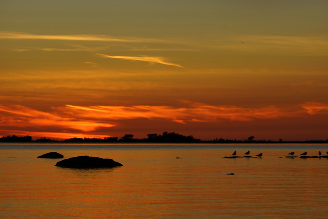 Sunset and seagulls Toronto, Ontario Canada