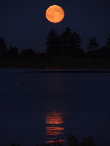 A big orange ball in the nights sky Royston, British Columbia Canada