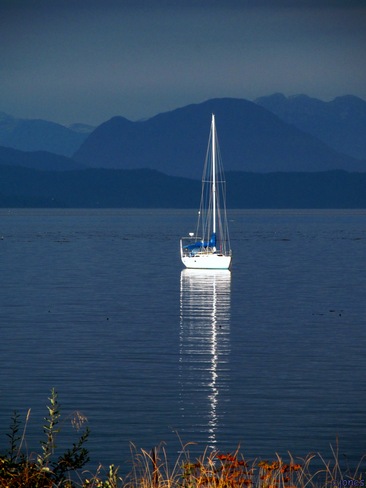 "sailing Away!" Campbell River, British Columbia Canada