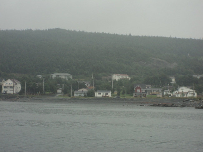 The Carbonear Day Boat ride Carbonear, Newfoundland and Labrador Canada