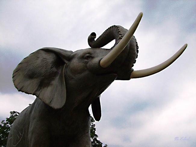 Monument to Jumbo the Elephant London, Ontario Canada