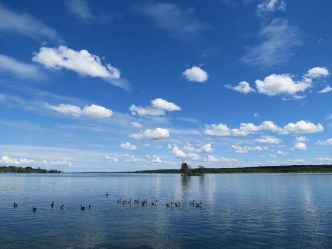 Abundantly blue skies Ingleside, Ontario Canada