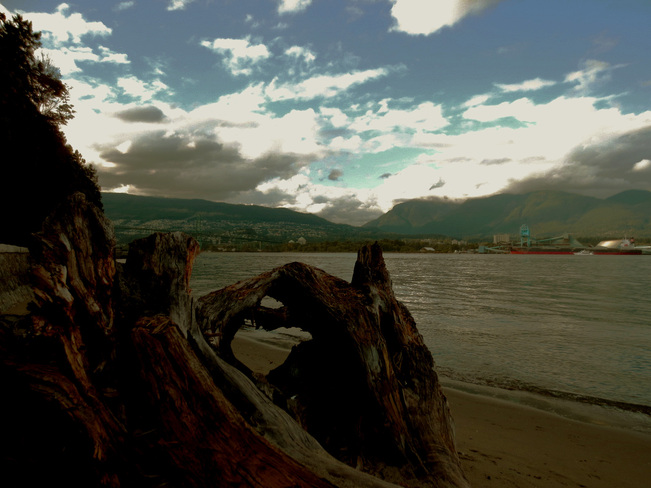 Nice for A Walk in the Beach Vancouver, British Columbia Canada