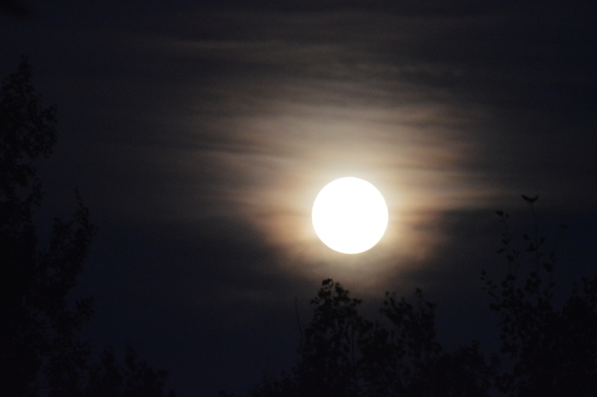 Beautiful Moon Shediac, New Brunswick Canada