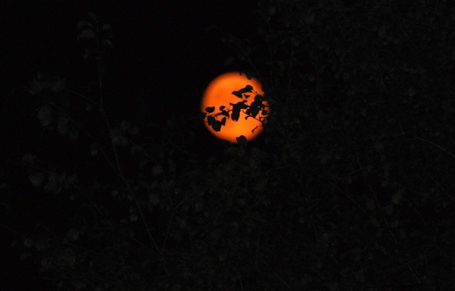 Red full moon Smiths Falls, Ontario Canada