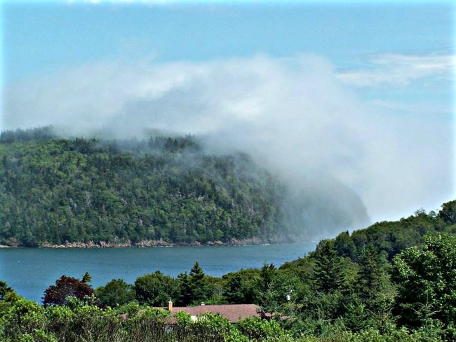 The Fog Rolls In Digby, Nova Scotia Canada