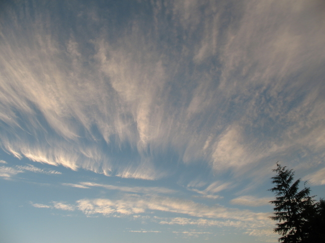 Pretty Bamfield skies! Bamfield, British Columbia Canada