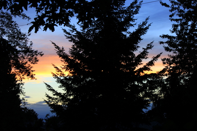 surrey sunset Surrey, British Columbia Canada