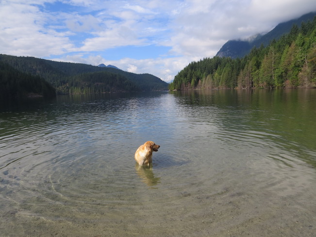 Beautiful Day At Lake Port Moody, British Columbia Canada