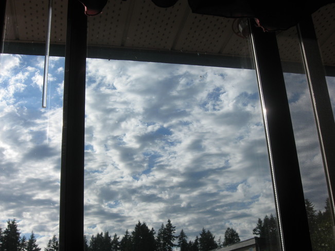 through the window Surrey, British Columbia Canada