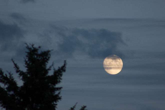 Moon Elkford, British Columbia Canada