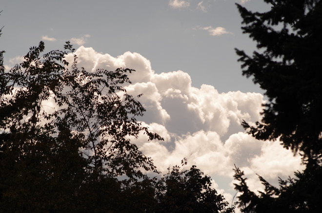The galloping clouds Kelowna, British Columbia Canada