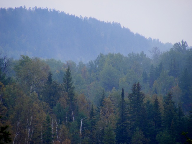 fog and mist Cobalt, Ontario Canada