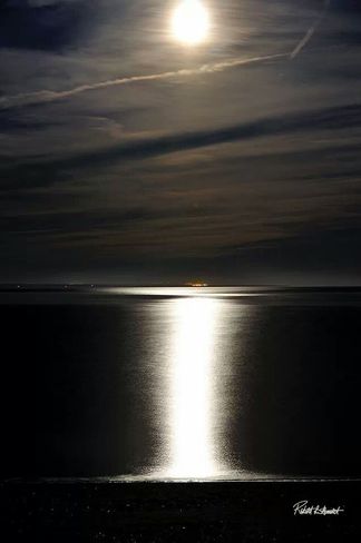 Harvest Moon Over The Bay Of Fundy Pennfield, New Brunswick Canada