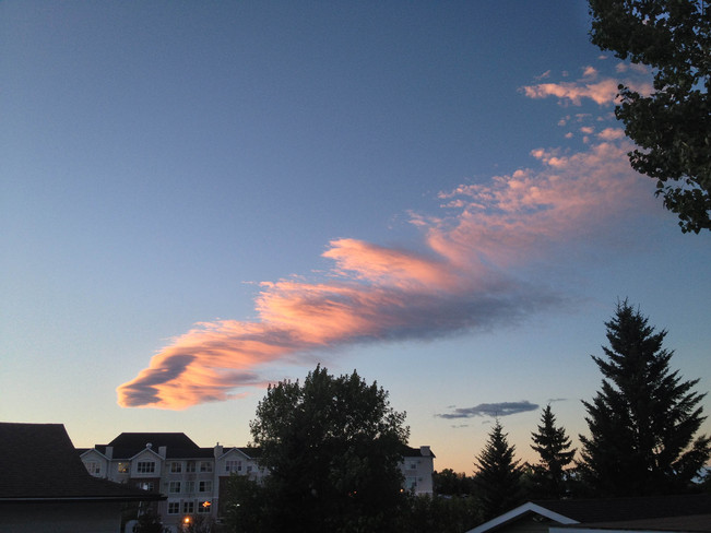 feather in the sky Calgary, Alberta Canada