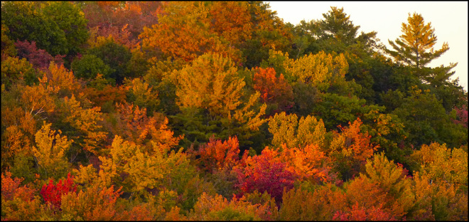 Sunset on the fall colours, Elliot Lake. Elliot Lake, Ontario Canada