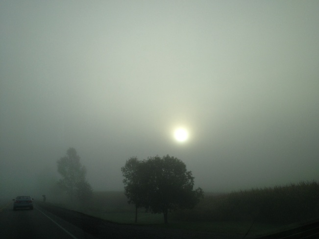 morning fog Beeton, Ontario Canada