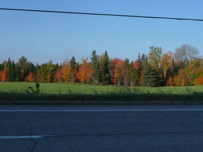 Fall Day Gracefield, Quebec Canada