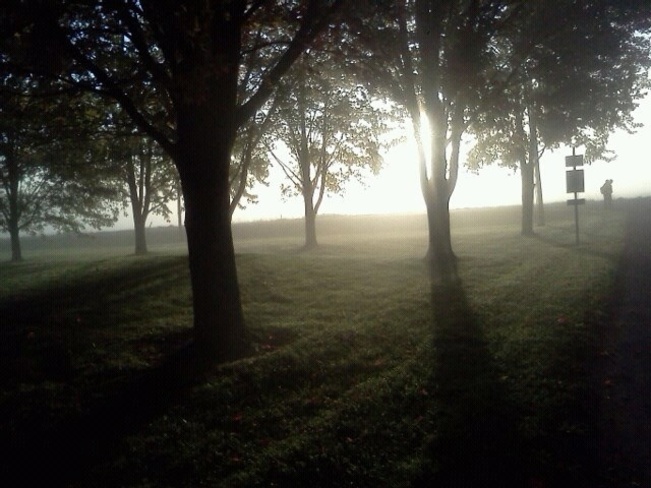 Foggy morning Stratford, Ontario Canada