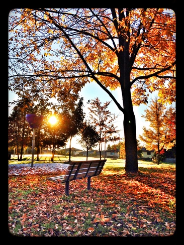 Autumn Morning Bradford, Ontario Canada