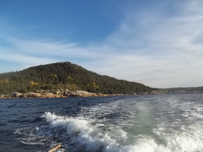 Boat Ride Birchy Bay, Newfoundland and Labrador Canada