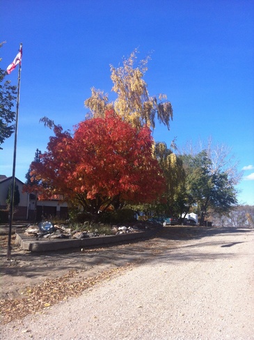 Beauty of Fall Biggar, Saskatchewan Canada