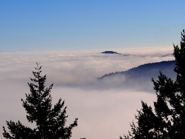 Above and beyond the fog Malahat, British Columbia Canada