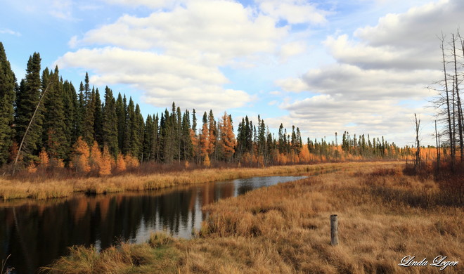 A Calm Creek Wasagaming, Manitoba Canada