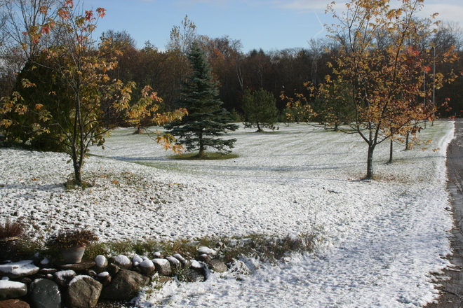 First Snow Rosemont, Ontario Canada