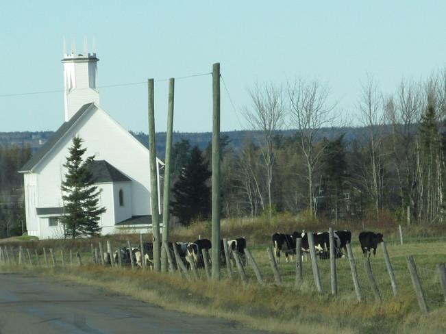 Country Road setting Riverview, New Brunswick Canada