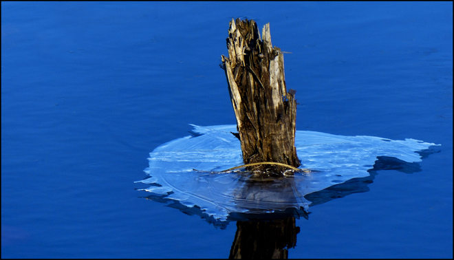 Sherriff Creek, ice around broken log. Elliot Lake, Ontario Canada