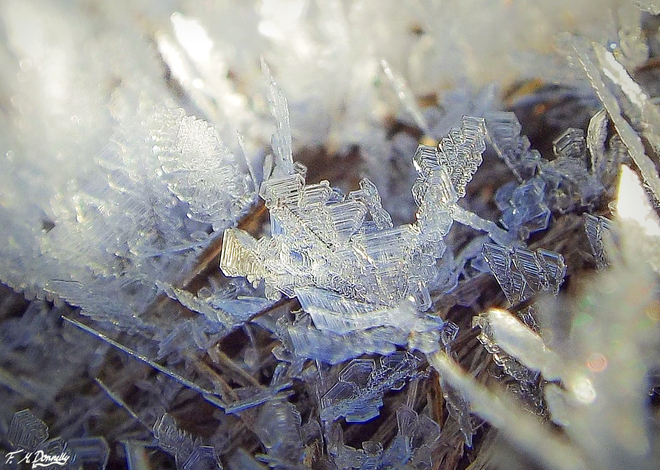 Tiny Frost Crystals Smiths Falls, Ontario Canada