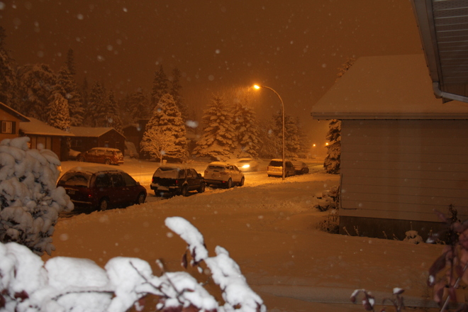 snowy night Red Deer, Alberta Canada