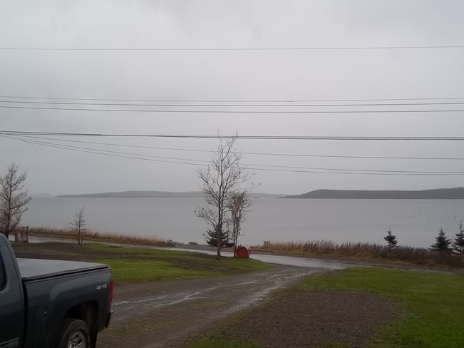 Wet Morning Birchy Bay, Newfoundland and Labrador Canada
