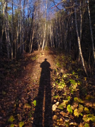 Shadow Hunter Temagami, Ontario Canada