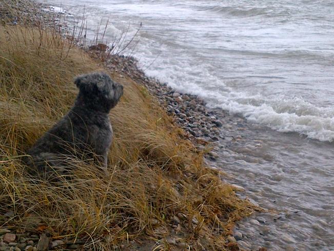 Dog Watch Lake Huron Gale Warning Point Clark, Ontario Canada