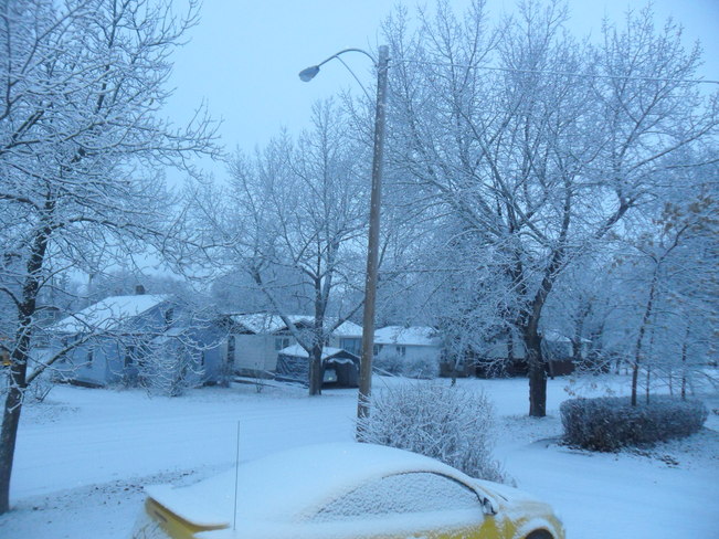 It's snow TiMe Ogema, Saskatchewan Canada