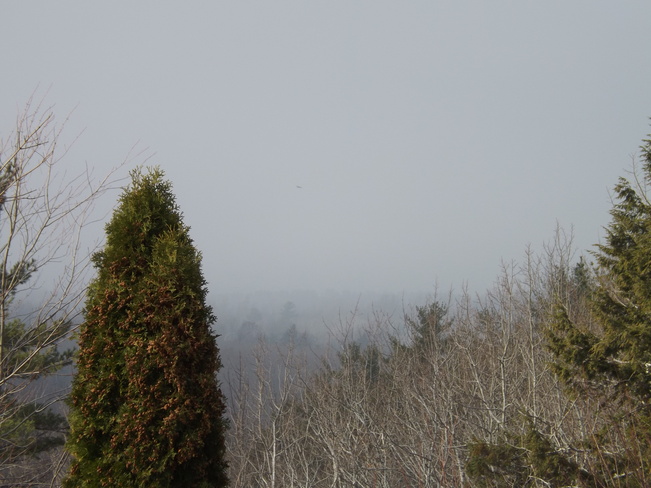 still foggy across the valley New Minas, Nova Scotia Canada
